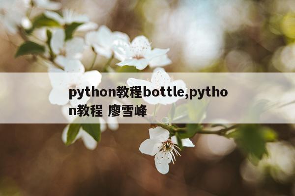 python教程bottle,python教程 廖雪峰
