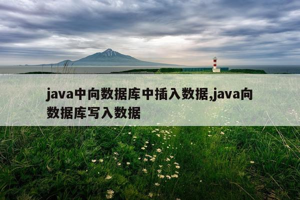 java中向数据库中插入数据,java向数据库写入数据