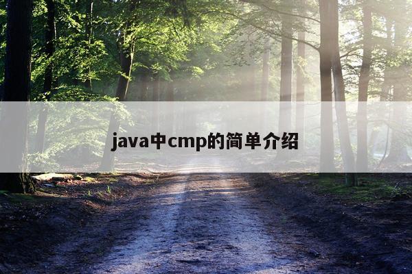 java中cmp的简单介绍