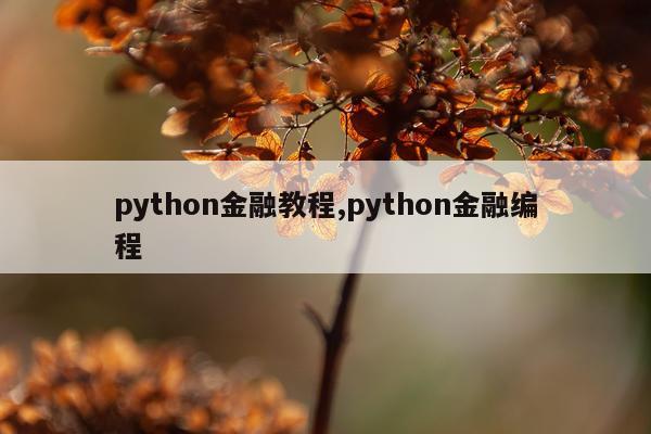 python金融教程,python金融编程