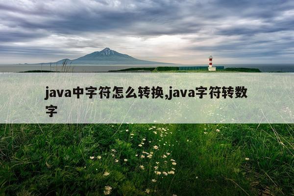 java中字符怎么转换,java字符转数字