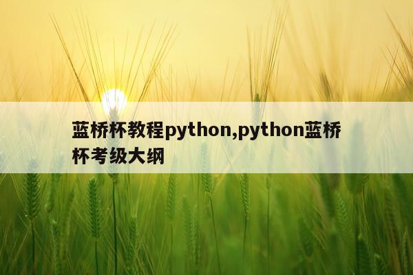 蓝桥杯教程python,python蓝桥杯考级大纲