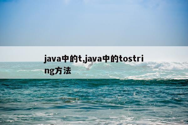 java中的t,java中的tostring方法