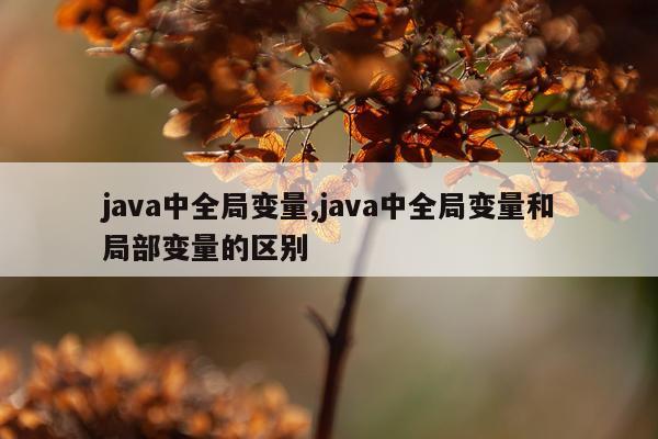java中全局变量,java中全局变量和局部变量的区别