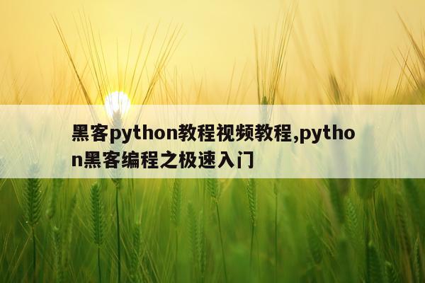黑客python教程视频教程,python黑客编程之极速入门