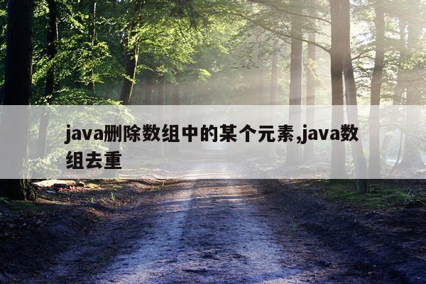 java删除数组中的某个元素,java数组去重