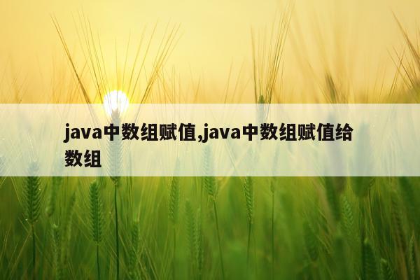 java中数组赋值,java中数组赋值给数组