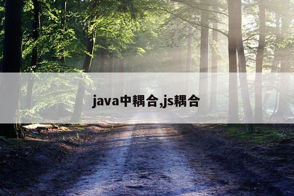 java中耦合,js耦合