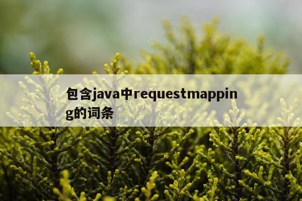 包含java中requestmapping的词条