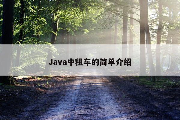 Java中租车的简单介绍