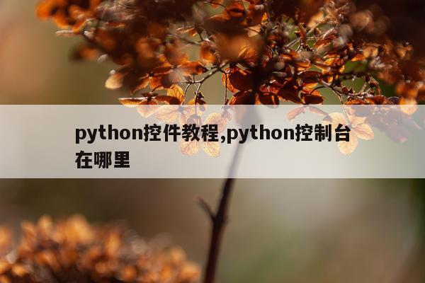 python控件教程,python控制台在哪里