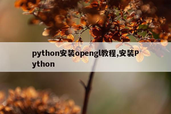 python安装opengl教程,安装Python