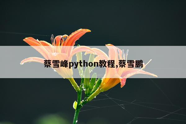 蔡雪峰python教程,蔡雪鹏