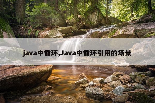 java中循环,Java中循环引用的场景