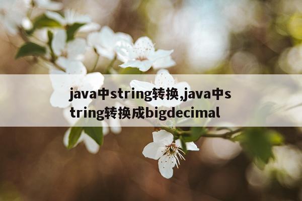 java中string转换,java中string转换成bigdecimal