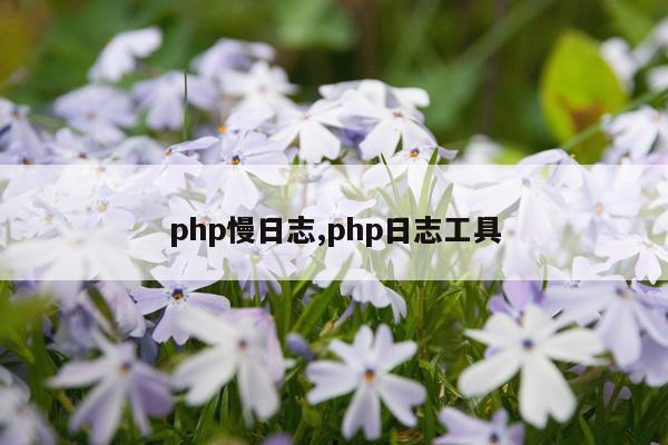 php慢日志,php日志工具