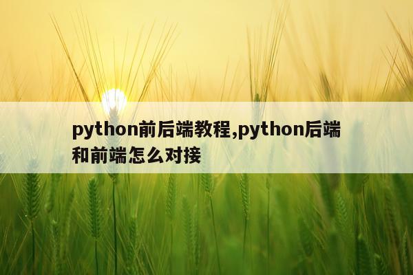 python前后端教程,python后端和前端怎么对接