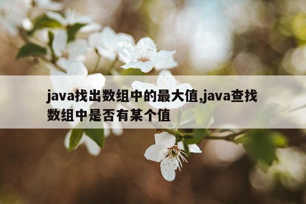 java找出数组中的最大值,java查找数组中是否有某个值