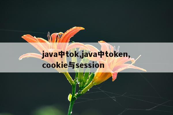 java中tok,java中token,cookie与session