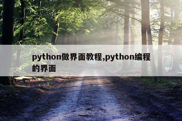 python做界面教程,python编程的界面