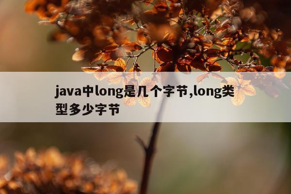 java中long是几个字节,long类型多少字节