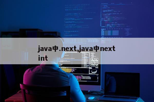 java中.next,java中nextint