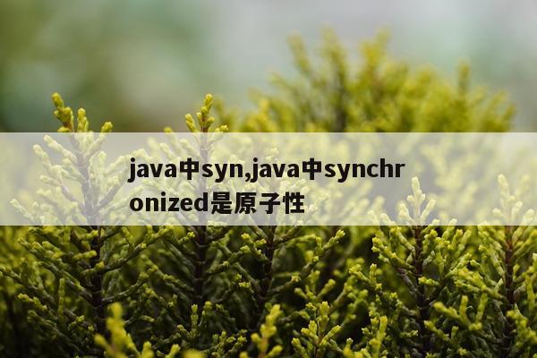 java中syn,java中synchronized是原子性