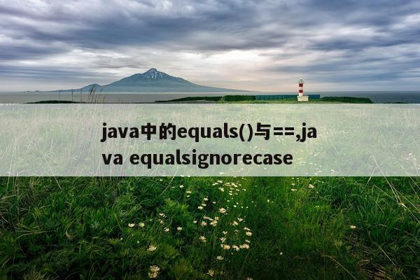 java中的equals()与==,java equalsignorecase