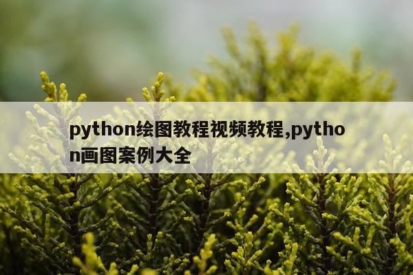 python绘图教程视频教程,python画图案例大全