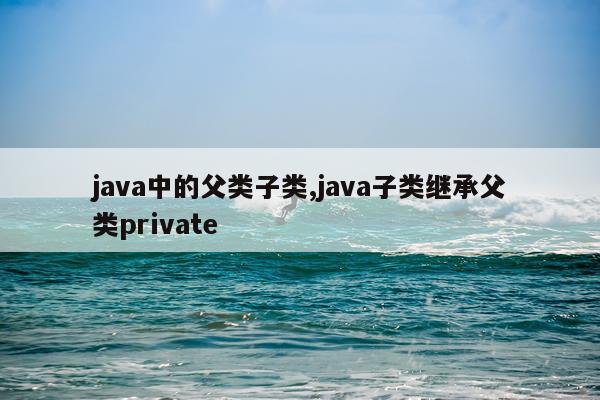 java中的父类子类,java子类继承父类private