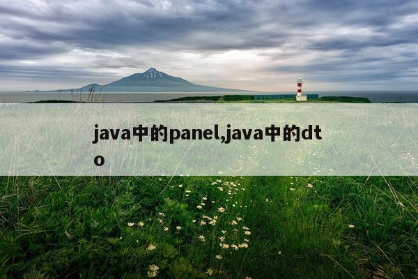 java中的panel,java中的dto