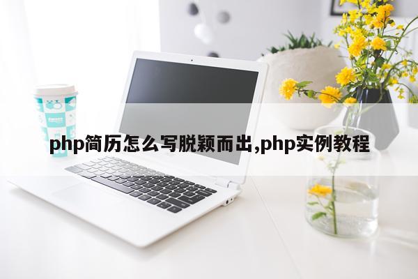 php简历怎么写脱颖而出,php实例教程