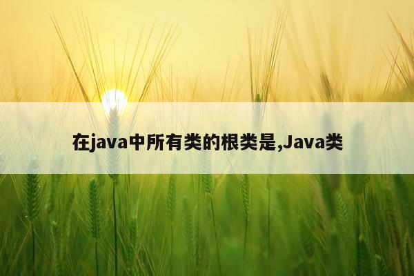在java中所有类的根类是,Java类