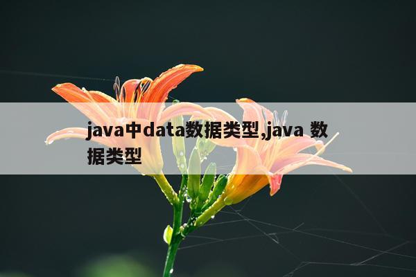 java中data数据类型,java 数据类型