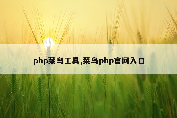 php菜鸟工具,菜鸟php官网入口