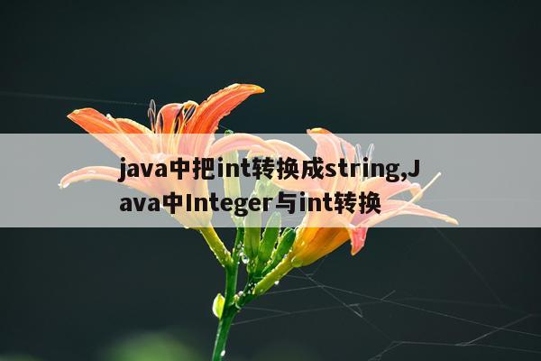 java中把int转换成string,Java中Integer与int转换
