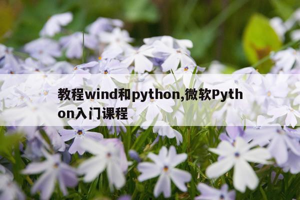 教程wind和python,微软Python入门课程