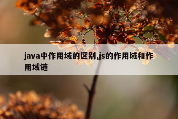 java中作用域的区别,js的作用域和作用域链