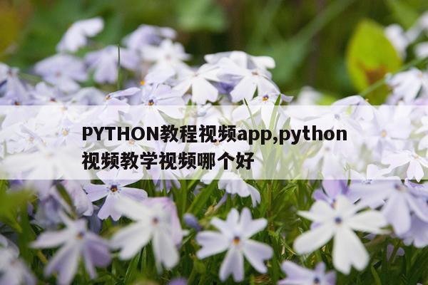 PYTHON教程视频app,python视频教学视频哪个好