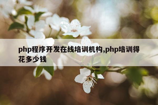 php程序开发在线培训机构,php培训得花多少钱
