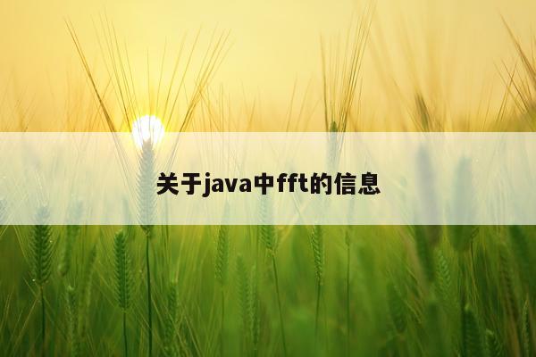 关于java中fft的信息