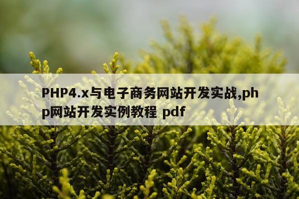 PHP4.x与电子商务网站开发实战,php网站开发实例教程 pdf