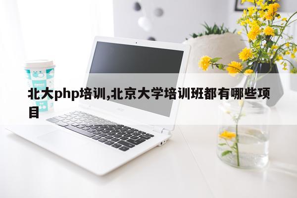 北大php培训,北京大学培训班都有哪些项目