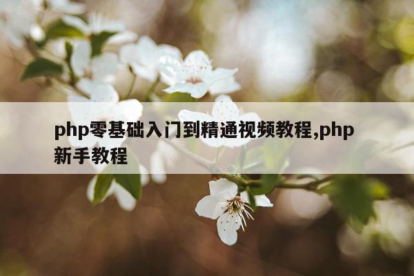 php零基础入门到精通视频教程,php 新手教程