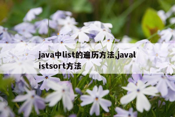 java中list的遍历方法,javalistsort方法