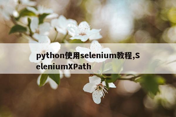 python使用selenium教程,SeleniumXPath