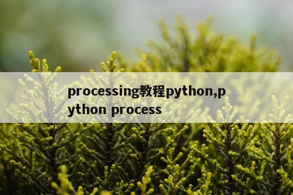 processing教程python,python process