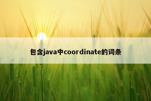 包含java中coordinate的词条