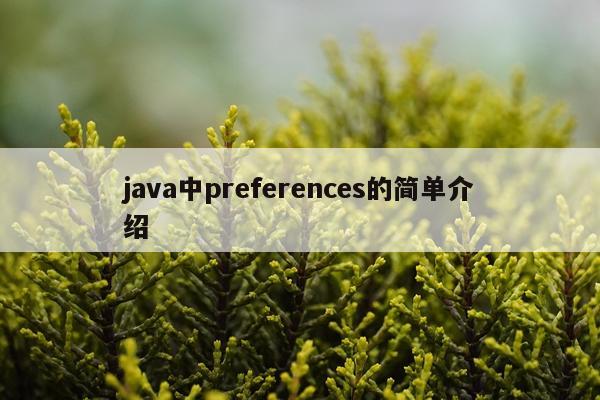 java中preferences的简单介绍