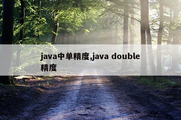 java中单精度,java double精度